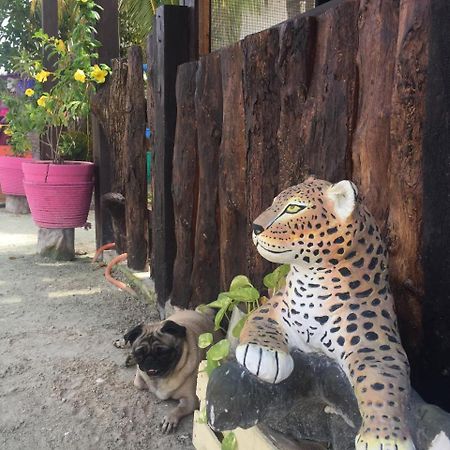 Hotel Hacienda La Catrina Isla Holbox Exteriör bild
