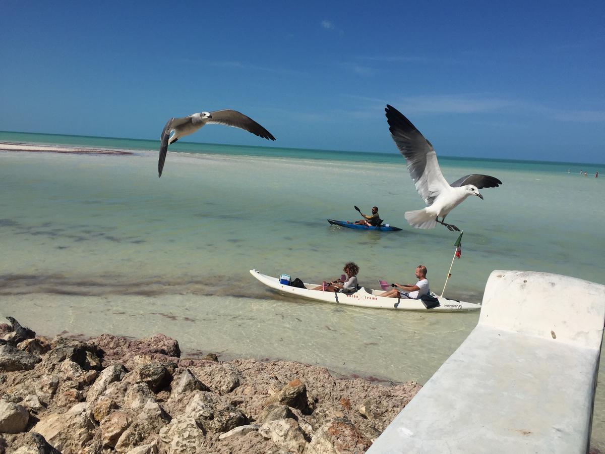 Hotel Hacienda La Catrina Isla Holbox Exteriör bild