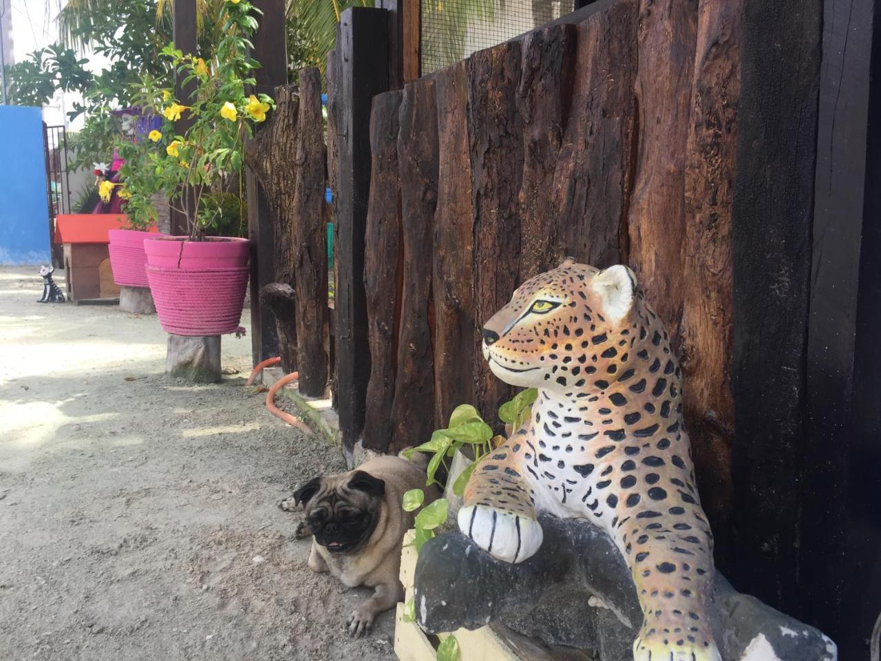 Hotel Hacienda La Catrina Isla Holbox Exteriör bild
